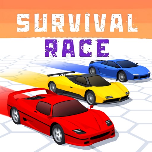 Survival Race cover